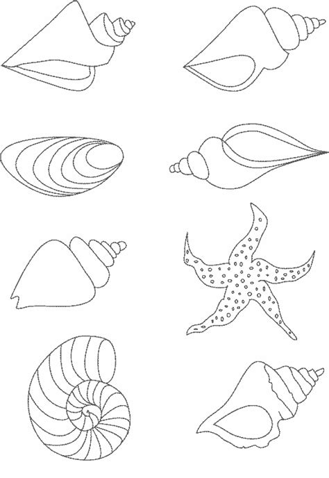 Coloriage Coquillage De Mer à colorier  Dessin à imprimer  Doodle