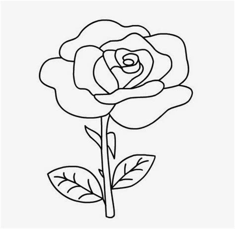 Halaman Unduh Untuk File Sketsa Gambar Bunga Mawar Yang Mudah Yang Ke 5