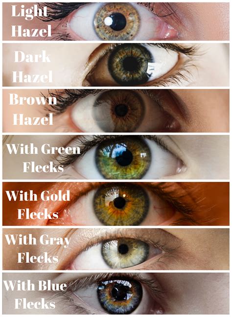 Different Kinds Of Hazel Eyes Hazel Eyes 10 Surprising Facts You