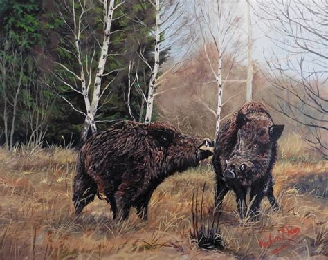 Pin On Wild Boar Drawing Painting