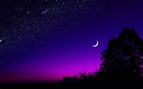Download Wallpaper 1440x900 Moon Tree Starry Sky Night Stars Dark