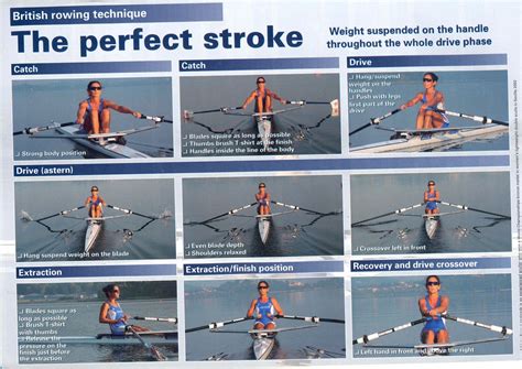 Latihan Upright Rowing Disebut Juga Jenis Peralatan Teknologi Komunikasi