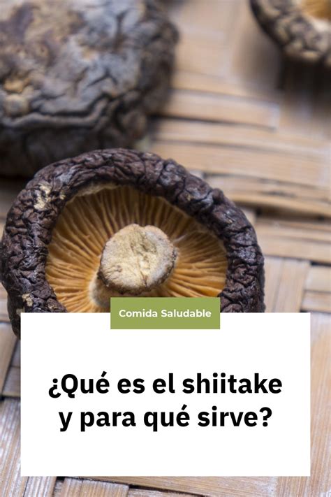 Qué es el shiitake y para qué sirve Nutrición Sin Más