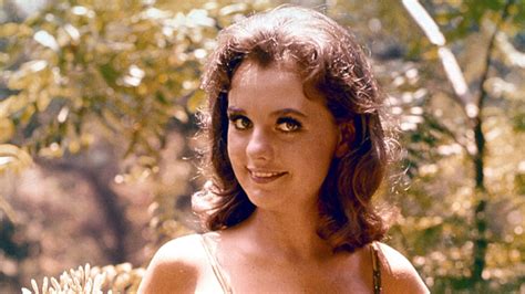 hollywood pays tribute to beloved gilligan s island actress dawn wells
