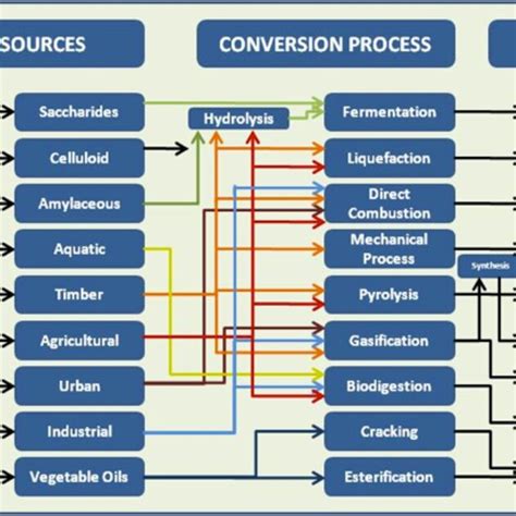 Biomass Energy Conversion Processes Download Scientific Diagram
