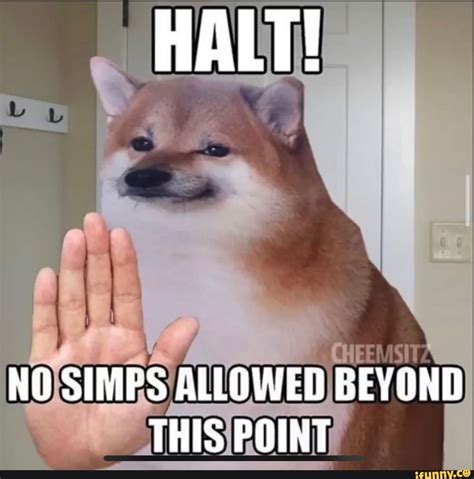 Halt No Simps Allowed Beyond This Point Ifunny Funny Memes