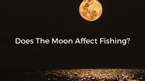 Does The Moon Phase Affect Fish Activity Levels Youtube