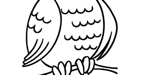 Coloring Pages Of Owls
