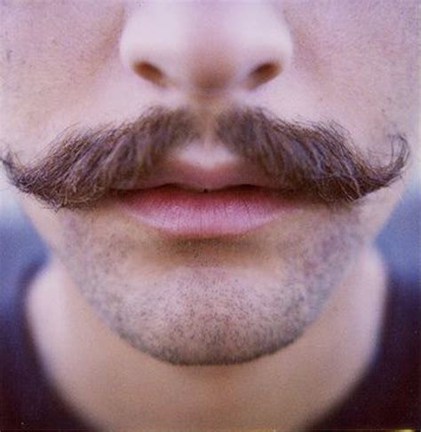 Pin By Mike Krona On Facial Hair Moustache Movember Mustache Mustache