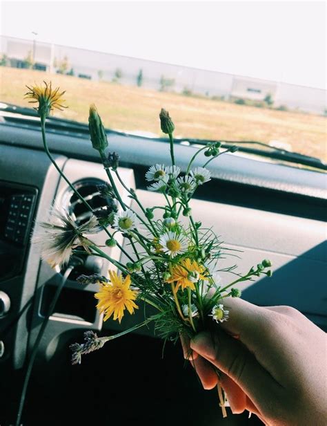 🦋 Pinterest Etherealgypsea X Instagram Ethereallunaa 🦋 Flower Power Beach Trip Plant Life