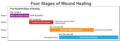 Wound Healing