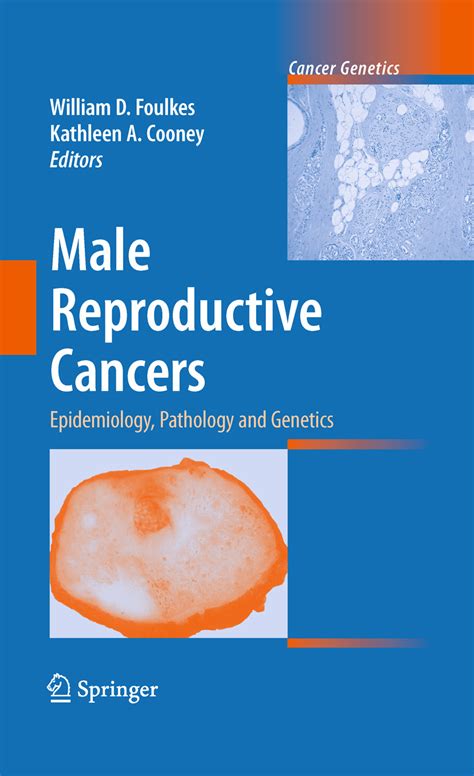 Male Reproductive Cancers E Book Frohberg