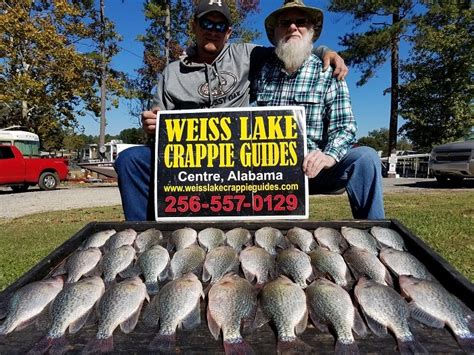Weiss Lake Crappie Guides Photo Gallery Photo Gallery