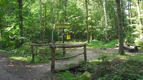 Oppauer haus, wachenheim an der weinstrasse: Wanderfit - Wachenheimer Täler-Tour zum Oppauer Haus ...