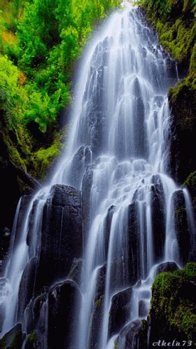 Waterfall Falls Gif Waterfall Falls Nature Discover Share Gifs