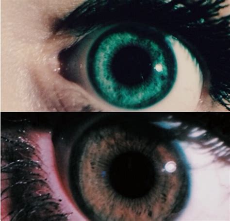 Best Heterochromia Images On Pholder Eyes Aww And Mildlyinteresting