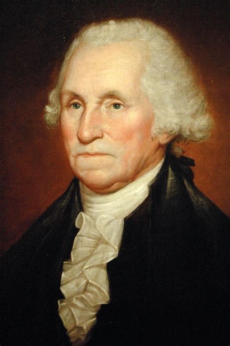 Ts Delight Laminated 24x36 Poster George Washington By