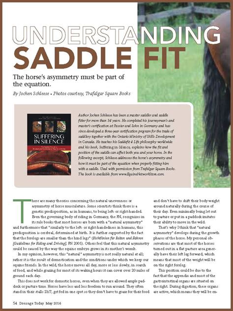 Understanding Saddle Fit The Horses Asymmetry Must Be Part Of The