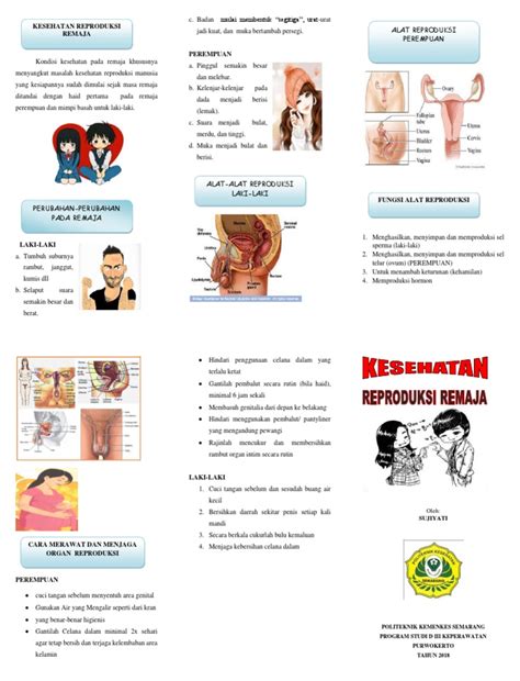 292545696 Leaflet Kesehatan Reproduksi Remaja