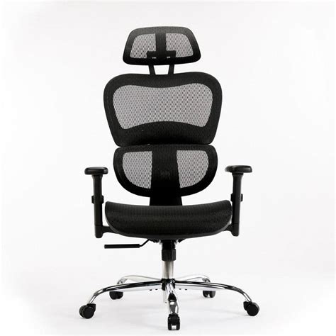 Fenbao Ergonomic Black Chair Modern Office Chair With Lumbar Support