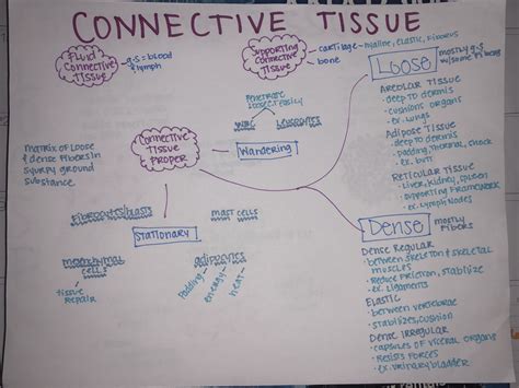 connective tissue concept map what is a map scale