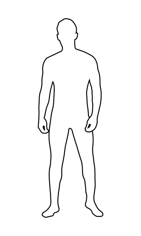 Vector Outline Human Body Mens Figure In Linear Style The Outline Of