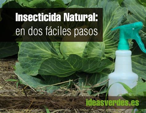 Diy C Mo Hacer Un Insecticida Natural Ideas Verdes Insecticidas 88452