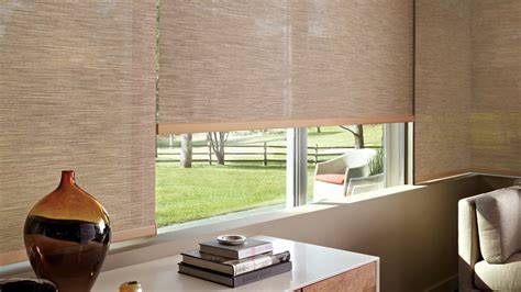 Roller Shades — Window Shading Collection — Tms Menagerie
