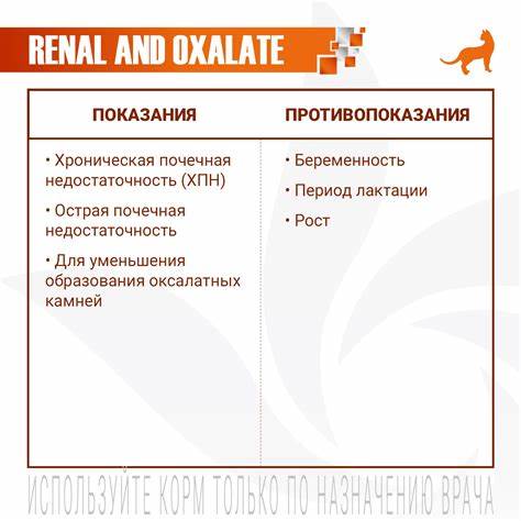 Малобелковая диета для хпн Ветеринарная диета Monge VetSolution Dog Renal and Oxalate Ренал и Ветеринарная диета Monge VetSolution Dog Renal and Oxalate Ренал и Малобелковая диета для хпн