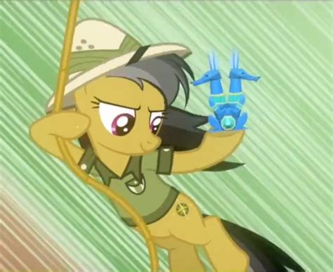 Sapphire Shores Or Daring Do Poll Results My Little Pony Friendship