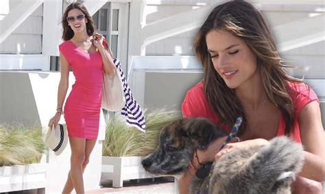 Find dogs and puppies for sale, near you and across australia. Alessandra Ambrosio takes a break from Victoria's Secret ...