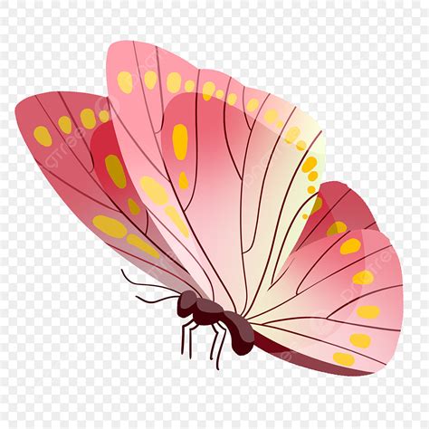 Pink Cartoon Butterfly