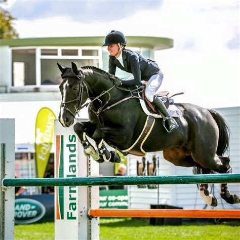 Hanoverians In Jumping And Eventing Nzhs