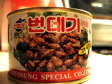 Food Beondegi 번데기 Silkworm Pupa Peacebreeze