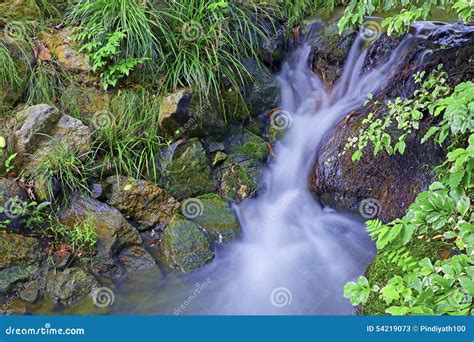 Small Tropical Creek Waterfall Stock Image Image Of Natural Tropical