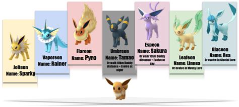 Little eevee has come a long way. "Pokémon Go" Eevee Evolution & Name Trick Guide ...