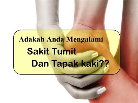 Pastikan anda tidak mempunyai alahan dengan ubat tahan sakit. Ubat Penyakit Kencing Manis Di Farmasi - Jurupulih 2