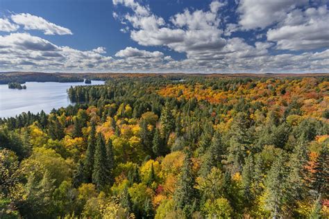 How To See Canadas Fall Foliage At Its Peak 1ef