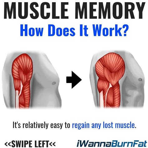 You May Have Heard Of The Term Muscle Memory Before Even Though Your