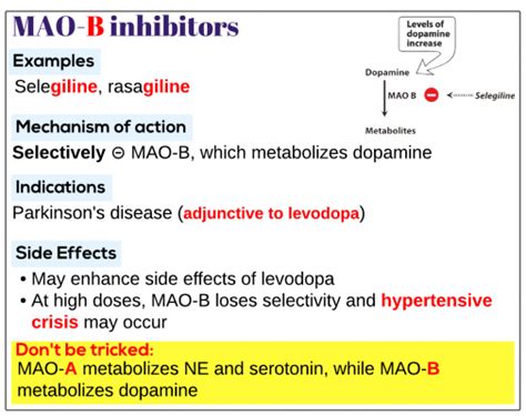Mao B Inhibitors Medicine Keys For Mrcps