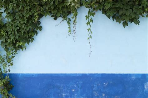 33 Garden Wall Ideas To Turn Your Garden Wall Into Art