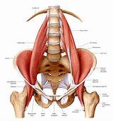 Pictures of Strengthening Muscles Around Si Joint