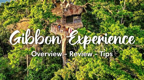 The Gibbon Experience Laos 2023 Overview 3 Day Classic Tour