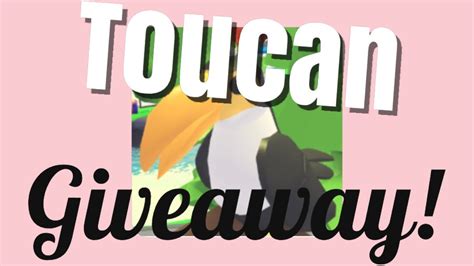 Adopt Me Toucan Giveaway Roblox Youtube