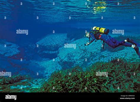 Florida Underwater Fresh Water Spring Diving Alexander Springsocala