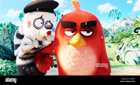 Angry Birds Aka The Angry Birds Movie From Left Mime Voice Tony Hale Red Voice Jason