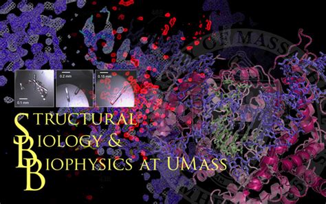 Structural Biology And Biophysicsat Umass University Of Massachusetts Amherst