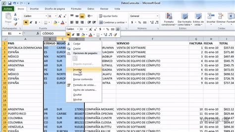 Cómo insertar columnas y filas en Excel Excel Total