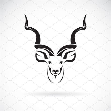 Vector Of Greater Kudu Head Design Custom Designed Icons ~ Creative