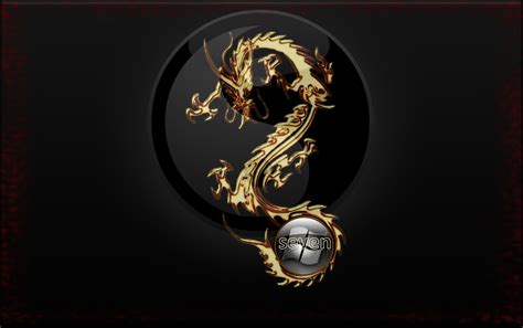 Dragon Logo Wallpapers 73 Background Pictures